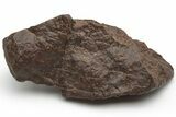 Chondrite Meteorite ( g) - Western Sahara Desert #226969-1